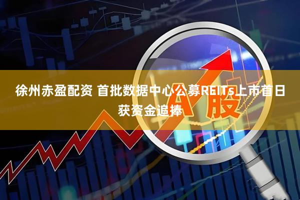 徐州赤盈配资 首批数据中心公募REITs上市首日获资金追捧