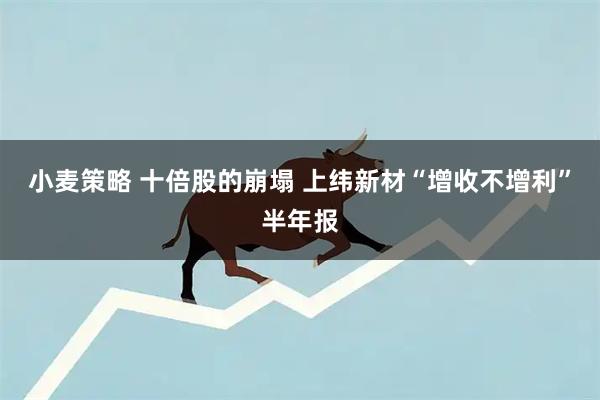小麦策略 十倍股的崩塌 上纬新材“增收不增利”半年报